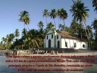 Com águas calmas e quentes praticamente durante todo o ano, a Praia
está a 113 km da capital pernambucana, Recife. Tem com...