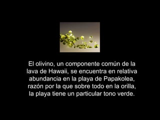 El olivino, un componente común de la
lava de Hawaii, se encuentra en relativa
  abundancia en la playa de Papakolea,
 razón por la que sobre todo en la orilla,
  la playa tiene un particular tono verde.
 