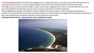 A Restinga da Marambaia é uma das joias ecológicas que a cidade do Rio possui, pois parte da sua extensão localiza-se no
município do Rio de Janeiro. A mesma, está localizada na Zona Oeste do município, próxima a Barra de Guaratiba.
A restinga é um dos poucos locais da cidade, se não o único onde a vegetação toca o mar. É uma linda faixa de areia, com
quase 43 quilômetros de extensão, que tem como seu ponto culminante uma ilha montanhosa.
Possui vegetação da restinga, formada por árvores e arbustos de pequeno porte e rasteira. Segundo especialistas, há
também, uma espécie de floresta praiana, que sobrevivem em um área parcialmente alagada e de solo extremamente fofo, já
que a 30 centímetros de uma grossa camada de húmus tudo que se tem é areia.
Restinga de Marambaia é a segunda praia mais comprida do mundo!
 