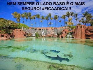 NEM SEMPRE O LADO RASO É O MAIS
SEGURO! #FICAADICA!!!
 