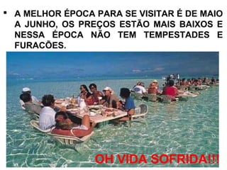  A MELHOR ÉPOCA PARA SE VISITAR É DE MAIO
A JUNHO, OS PREÇOS ESTÃO MAIS BAIXOS E
NESSA ÉPOCA NÃO TEM TEMPESTADES E
FURACÕES.
OH VIDA SOFRIDA!!!
 
