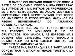 O CARIBE COLOMBIANO CONHECE-SE COMO A
BATEIA DA COLÔMBIA, DEVIDO A UMA DEPRESSÃO
QUE ATINGE OS 4 MIL METROS DE PROFUNDIDADE.
ESTE MAR SEMICERRADO DE ÁGUAS QUENTES E
SUPERFICIAIS ESTÁ REPRESENTADO POR TODOS
OS AMBIENTES E ECOSSISTEMAS MARINHOS DA
REGIÃO BIOGEOGRÁFICA DO ATLÂNTICO
OCIDENTAL TROPICAL.
A GRANDE RIQUEZA DOS FUNDOS REPORTA
215 ESPÉCIES DE MOLUSCOS E 115 DE
CRUSTÁCEOS. NOS MANGAIS, AS ESPÉCIES MAIS
COMUNS SÃO VERMELHO, NEGRO, BRANCO E
BOTÃO; ALÉM DO MAIS EXISTEM OUTRAS 241
ESPÉCIES DE ANIMAIS E ALGAS.
CARTAGENA, BARRANQUILLA E SANTA MARTA
CONCENTRAM A MAIOR ATIVIDADE TURÍSTICA DA
REGIÃO.
 