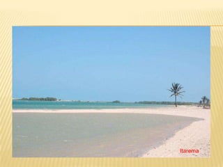 Itarema
 