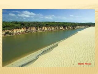 Barra Nova
 