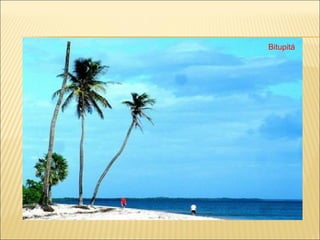 Bitupitá 