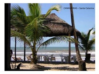 CANAVIEIRAS – Santa Catarina
 