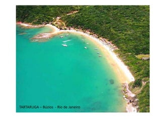 TARTARUGA – Búzios - Rio de Janeiro
 