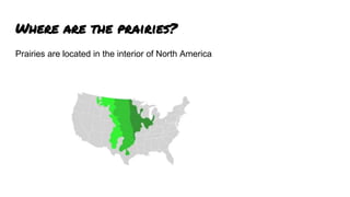 Where are the prairies?
Prairies are located in the interior of North America