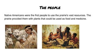 The people
Native Americans were the first people to use the prairie's vast resources. The
prairie provided them with plants that could be used as food and medicine.