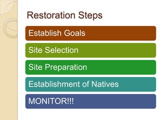 Restoration Steps
Establish Goals
Site Selection
Site Preparation
Establishment of Natives
MONITOR!!!
 