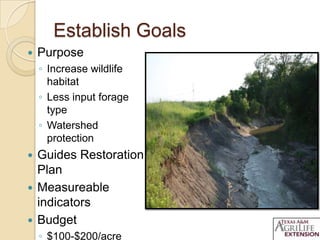 Establish Goals
 Purpose
◦ Increase wildlife
habitat
◦ Less input forage
type
◦ Watershed
protection
 Guides Restoration
Plan
 Measureable
indicators
 Budget
◦ $100-$200/acre
 