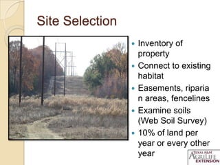 Site Selection
 Inventory of
property
 Connect to existing
habitat
 Easements, riparia
n areas, fencelines
 Examine soils
(Web Soil Survey)
 10% of land per
year or every other
year
 