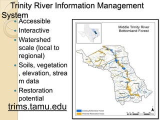 Trinity River Information Management
System
 Accessible
 Interactive
 Watershed
scale (local to
regional)
 Soils, vegetation
, elevation, strea
m data
 Restoration
potential
trims.tamu.edu
 