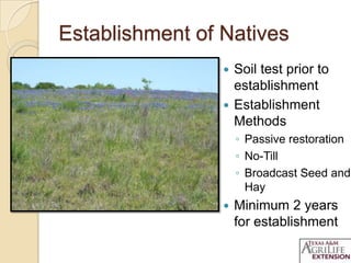 Establishment of Natives
 Soil test prior to
establishment
 Establishment
Methods
◦ Passive restoration
◦ No-Till
◦ Broadcast Seed and
Hay
 Minimum 2 years
for establishment
 