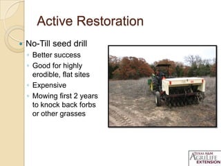 Active Restoration
 No-Till seed drill
◦ Better success
◦ Good for highly
erodible, flat sites
◦ Expensive
◦ Mowing first 2 years
to knock back forbs
or other grasses
 