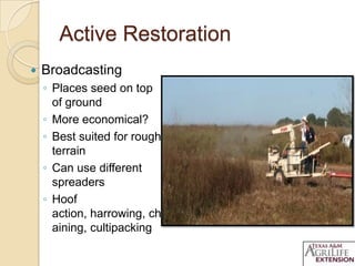 Active Restoration
 Broadcasting
◦ Places seed on top
of ground
◦ More economical?
◦ Best suited for rough
terrain
◦ Can use different
spreaders
◦ Hoof
action, harrowing, ch
aining, cultipacking
 