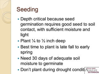 Seeding
 Depth critical because seed
germination requires good seed to soil
contact, with sufficient moisture and
light
 Plant ¼ to ½ inch deep
 Best time to plant is late fall to early
spring
 Need 30 days of adequate soil
moisture to germinate
 Don’t plant during drought conditions!
 