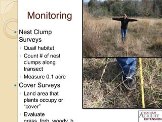 Monitoring
 Nest Clump
Surveys
◦ Quail habitat
◦ Count # of nest
clumps along
transect
◦ Measure 0.1 acre
 Cover Surveys
◦ Land area that
plants occupy or
“cover”
◦ Evaluate
 