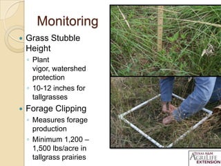 Monitoring
 Grass Stubble
Height
◦ Plant
vigor, watershed
protection
◦ 10-12 inches for
tallgrasses
 Forage Clipping
◦ Measures forage
production
◦ Minimum 1,200 –
1,500 lbs/acre in
tallgrass prairies
 