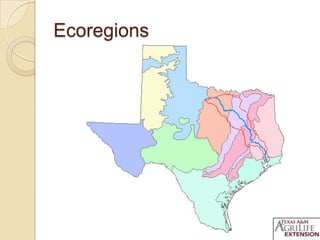 Ecoregions
 