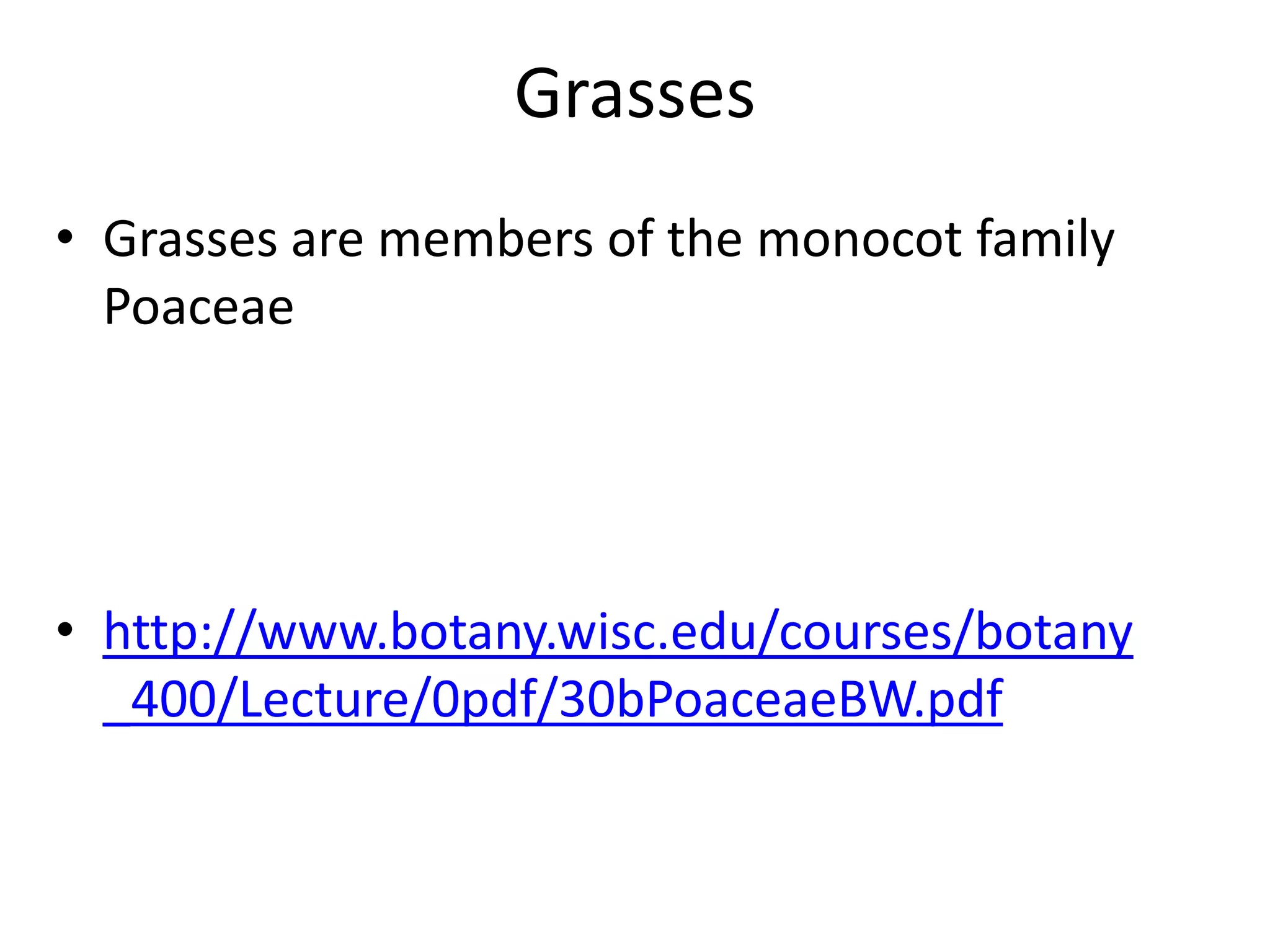 Grasses
• Grasses are members of the monocot family
  Poaceae




• http://www.botany.wisc.edu/courses/botany
  _400/Lecture/0pdf/30bPoaceaeBW.pdf
 