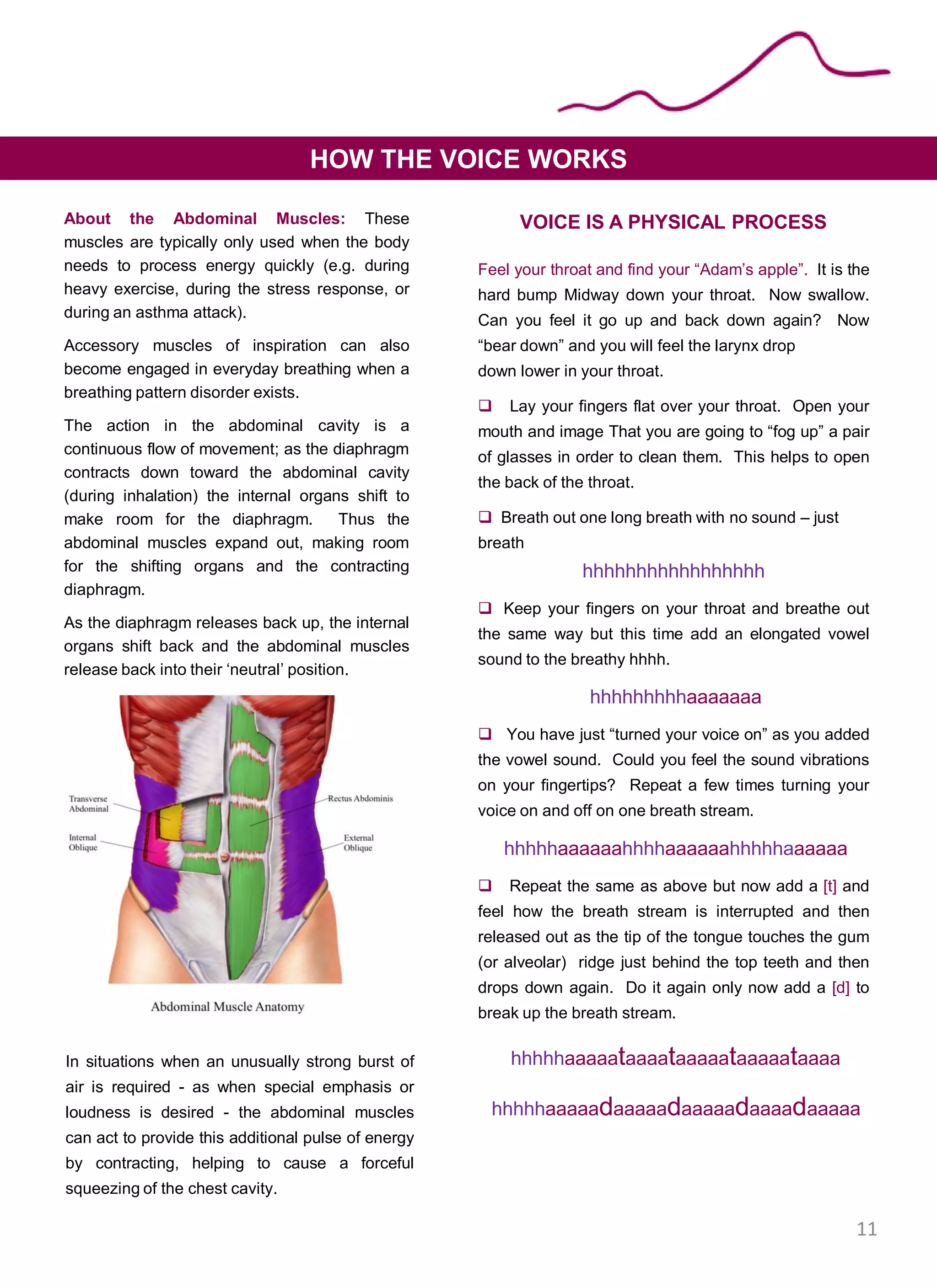 About the Abdominal Muscles: These
muscles are typically only used when the body
needs to process energy quickly (e.g. during
heavy exercise, during the stress response, or
during an asthma attack).
Accessory muscles of inspiration can also
become engaged in everyday breathing when a
breathing pattern disorder exists.
The action in the abdominal cavity is a
continuous flow of movement; as the diaphragm
contracts down toward the abdominal cavity
(during inhalation) the internal organs shift to
make room for the diaphragm. Thus the
abdominal muscles expand out, making room
for the shifting organs and the contracting
diaphragm.
As the diaphragm releases back up, the internal
organs shift back and the abdominal muscles
release back into their ‘neutral’ position.
HOW THE VOICE WORKS
In situations when an unusually strong burst of
air is required - as when special emphasis or
loudness is desired - the abdominal muscles
can act to provide this additional pulse of energy
by contracting, helping to cause a forceful
squeezing of the chest cavity.
VOICE IS A PHYSICAL PROCESS
Feel your throat and find your “Adam’s apple”. It is the
hard bump Midway down your throat. Now swallow.
Can you feel it go up and back down again? Now
“bear down” and you will feel the larynx drop
down lower in your throat.
 Lay your fingers flat over your throat. Open your
mouth and image That you are going to “fog up” a pair
of glasses in order to clean them. This helps to open
the back of the throat.
 Breath out one long breath with no sound – just
breath
hhhhhhhhhhhhhhhhh
 Keep your fingers on your throat and breathe out
the same way but this time add an elongated vowel
sound to the breathy hhhh.
hhhhhhhhhaaaaaaa
 You have just “turned your voice on” as you added
the vowel sound. Could you feel the sound vibrations
on your fingertips? Repeat a few times turning your
voice on and off on one breath stream.
hhhhhaaaaaahhhhaaaaaahhhhhaaaaaa
 Repeat the same as above but now add a [t] and
feel how the breath stream is interrupted and then
released out as the tip of the tongue touches the gum
(or alveolar) ridge just behind the top teeth and then
drops down again. Do it again only now add a [d] to
break up the breath stream.
hhhhhaaaaataaaataaaaataaaaataaaa
hhhhhaaaaadaaaaadaaaaadaaaadaaaaa
11
 