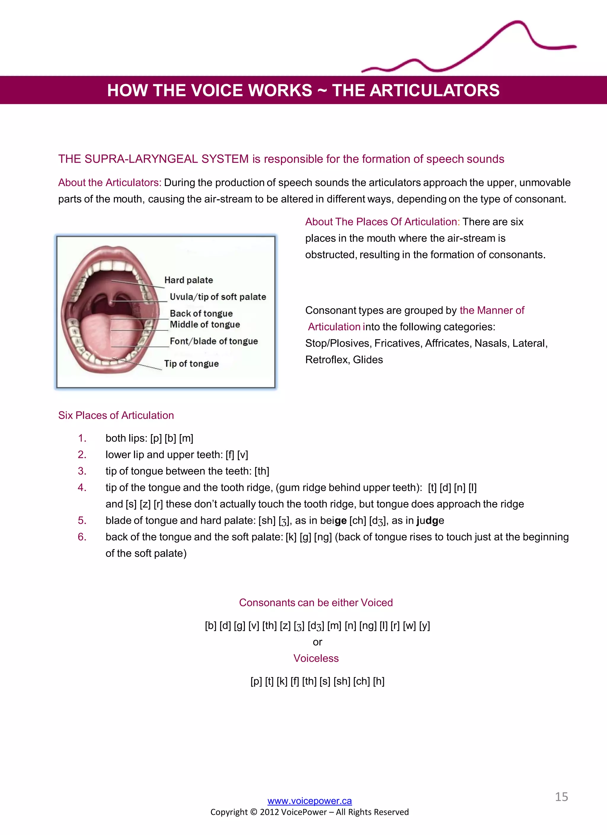 www.voicepower.ca
Copyright © 2012 VoicePower – All Rights Reserved
HOW THE VOICE WORKS ~ THE ARTICULATORS
THE SUPRA-LARYNGEAL SYSTEM is responsible for the formation of speech sounds
About the Articulators: During the production of speech sounds the articulators approach the upper, unmovable
parts of the mouth, causing the air-stream to be altered in different ways, depending on the type of consonant.
About The Places Of Articulation: There are six
places in the mouth where the air-stream is
obstructed, resulting in the formation of consonants.
Consonant types are grouped by the Manner of
Articulation into the following categories:
Stop/Plosives, Fricatives, Affricates, Nasals, Lateral,
Retroflex, Glides
Six Places of Articulation
1. both lips: [p] [b] [m]
2. lower lip and upper teeth: [f] [v]
3. tip of tongue between the teeth: [th]
4. tip of the tongue and the tooth ridge, (gum ridge behind upper teeth): [t] [d] [n] [l]
and [s] [z] [r] these don’t actually touch the tooth ridge, but tongue does approach the ridge
5. blade of tongue and hard palate: [sh] [], as in beige [ch] [d], as in judge
6. back of the tongue and the soft palate: [k] [g] [ng] (back of tongue rises to touch just at the beginning
of the soft palate)
Consonants can be either Voiced
[b] [d] [g] [v] [th] [z] [] [d] [m] [n] [ng] [l] [r] [w] [y]
or
Voiceless
[p] [t] [k] [f] [th] [s] [sh] [ch] [h]
15
 