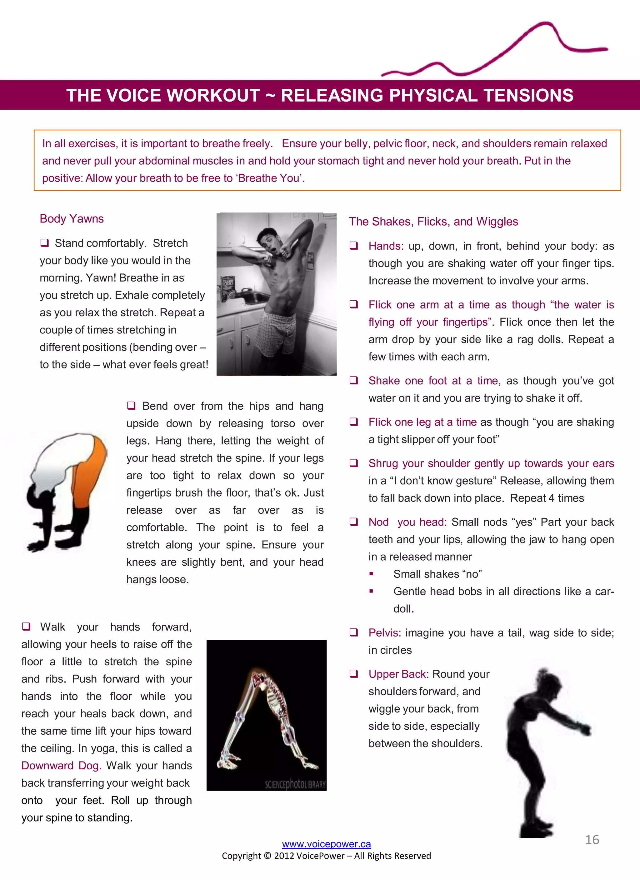 In all exercises, it is important to breathe freely. Ensure your belly, pelvic floor, neck, and shoulders remain relaxed
and never pull your abdominal muscles in and hold your stomach tight and never hold your breath. Put in the
positive: Allow your breath to be free to ‘Breathe You’.
The Shakes, Flicks, and Wiggles
 Hands: up, down, in front, behind your body: as
though you are shaking water off your finger tips.
Increase the movement to involve your arms.
 Flick one arm at a time as though “the water is
flying off your fingertips”. Flick once then let the
arm drop by your side like a rag dolls. Repeat a
few times with each arm.
 Shake one foot at a time, as though you’ve got
water on it and you are trying to shake it off.
 Flick one leg at a time as though “you are shaking
a tight slipper off your foot”
 Shrug your shoulder gently up towards your ears
in a “I don’t know gesture” Release, allowing them
to fall back down into place. Repeat 4 times
 Nod you head: Small nods “yes” Part your back
teeth and your lips, allowing the jaw to hang open
in a released manner
 Small shakes “no”
 Gentle head bobs in all directions like a car-
doll.
 Pelvis: imagine you have a tail, wag side to side;
in circles
 Upper Back: Round your
shoulders forward, and
wiggle your back, from
side to side, especially
between the shoulders.
Body Yawns
 Stand comfortably. Stretch
your body like you would in the
morning. Yawn! Breathe in as
you stretch up. Exhale completely
as you relax the stretch. Repeat a
couple of times stretching in
different positions (bending over –
to the side – what ever feels great!
 Bend over from the hips and hang
upside down by releasing torso over
legs. Hang there, letting the weight of
your head stretch the spine. If your legs
are too tight to relax down so your
fingertips brush the floor, that’s ok. Just
release over as far over as is
comfortable. The point is to feel a
stretch along your spine. Ensure your
knees are slightly bent, and your head
hangs loose.
 Walk your hands forward,
allowing your heels to raise off the
floor a little to stretch the spine
and ribs. Push forward with your
hands into the floor while you
reach your heals back down, and
the same time lift your hips toward
the ceiling. In yoga, this is called a
Downward Dog. Walk your hands
back transferring your weight back
onto your feet. Roll up through
your spine to standing.
THE VOICE WORKOUT ~ RELEASING PHYSICAL TENSIONS
www.voicepower.ca
Copyright © 2012 VoicePower – All Rights Reserved
16
 