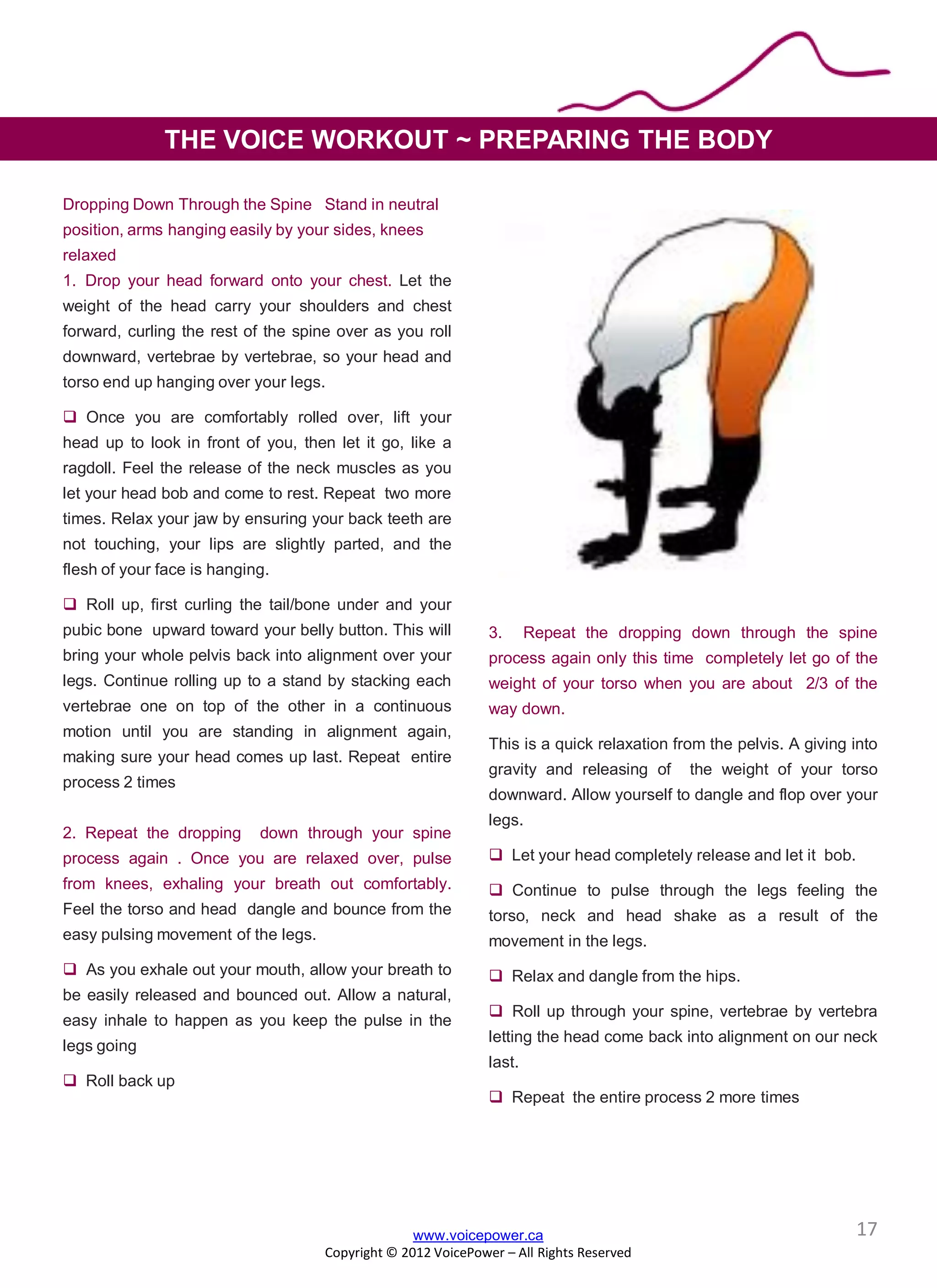 Dropping Down Through the Spine Stand in neutral
position, arms hanging easily by your sides, knees
relaxed
1. Drop your head forward onto your chest. Let the
weight of the head carry your shoulders and chest
forward, curling the rest of the spine over as you roll
downward, vertebrae by vertebrae, so your head and
torso end up hanging over your legs.
 Once you are comfortably rolled over, lift your
head up to look in front of you, then let it go, like a
ragdoll. Feel the release of the neck muscles as you
let your head bob and come to rest. Repeat two more
times. Relax your jaw by ensuring your back teeth are
not touching, your lips are slightly parted, and the
flesh of your face is hanging.
 Roll up, first curling the tail/bone under and your
pubic bone upward toward your belly button. This will
bring your whole pelvis back into alignment over your
legs. Continue rolling up to a stand by stacking each
vertebrae one on top of the other in a continuous
motion until you are standing in alignment again,
making sure your head comes up last. Repeat entire
process 2 times
2. Repeat the dropping down through your spine
process again . Once you are relaxed over, pulse
from knees, exhaling your breath out comfortably.
Feel the torso and head dangle and bounce from the
easy pulsing movement of the legs.
 As you exhale out your mouth, allow your breath to
be easily released and bounced out. Allow a natural,
easy inhale to happen as you keep the pulse in the
legs going
 Roll back up
3. Repeat the dropping down through the spine
process again only this time completely let go of the
weight of your torso when you are about 2/3 of the
way down.
This is a quick relaxation from the pelvis. A giving into
gravity and releasing of the weight of your torso
downward. Allow yourself to dangle and flop over your
legs.
 Let your head completely release and let it bob.
 Continue to pulse through the legs feeling the
torso, neck and head shake as a result of the
movement in the legs.
 Relax and dangle from the hips.
 Roll up through your spine, vertebrae by vertebra
letting the head come back into alignment on our neck
last.
 Repeat the entire process 2 more times
THE VOICE WORKOUT ~ PREPARING THE BODY
www.voicepower.ca
Copyright © 2012 VoicePower – All Rights Reserved
17
 