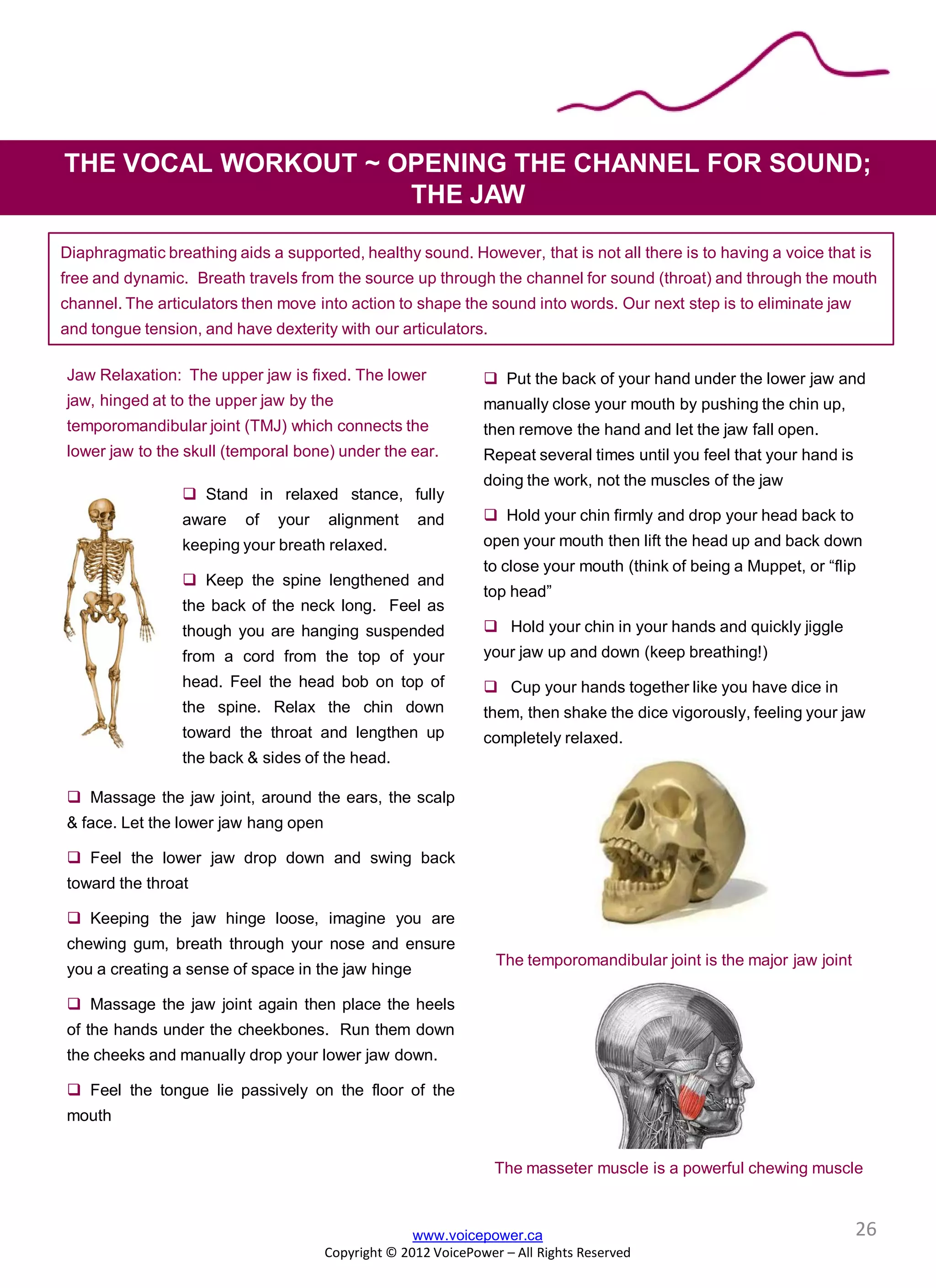 THE VOCAL WORKOUT ~ OPENING THE CHANNEL FOR SOUND;
THE JAW
www.voicepower.ca
Copyright © 2012 VoicePower – All Rights Reserved
Jaw Relaxation: The upper jaw is fixed. The lower
jaw, hinged at to the upper jaw by the
temporomandibular joint (TMJ) which connects the
lower jaw to the skull (temporal bone) under the ear.
 Massage the jaw joint, around the ears, the scalp
& face. Let the lower jaw hang open
 Feel the lower jaw drop down and swing back
toward the throat
 Keeping the jaw hinge loose, imagine you are
chewing gum, breath through your nose and ensure
you a creating a sense of space in the jaw hinge
 Massage the jaw joint again then place the heels
of the hands under the cheekbones. Run them down
the cheeks and manually drop your lower jaw down.
 Feel the tongue lie passively on the floor of the
mouth
Diaphragmatic breathing aids a supported, healthy sound. However, that is not all there is to having a voice that is
free and dynamic. Breath travels from the source up through the channel for sound (throat) and through the mouth
channel. The articulators then move into action to shape the sound into words. Our next step is to eliminate jaw
and tongue tension, and have dexterity with our articulators.
 Put the back of your hand under the lower jaw and
manually close your mouth by pushing the chin up,
then remove the hand and let the jaw fall open.
Repeat several times until you feel that your hand is
doing the work, not the muscles of the jaw
 Hold your chin firmly and drop your head back to
open your mouth then lift the head up and back down
to close your mouth (think of being a Muppet, or “flip
top head”
 Hold your chin in your hands and quickly jiggle
your jaw up and down (keep breathing!)
 Cup your hands together like you have dice in
them, then shake the dice vigorously, feeling your jaw
completely relaxed.
The temporomandibular joint is the major jaw joint
The masseter muscle is a powerful chewing muscle
 Stand in relaxed stance, fully
aware of your alignment and
keeping your breath relaxed.
 Keep the spine lengthened and
the back of the neck long. Feel as
though you are hanging suspended
from a cord from the top of your
head. Feel the head bob on top of
the spine. Relax the chin down
toward the throat and lengthen up
the back & sides of the head.
26
 