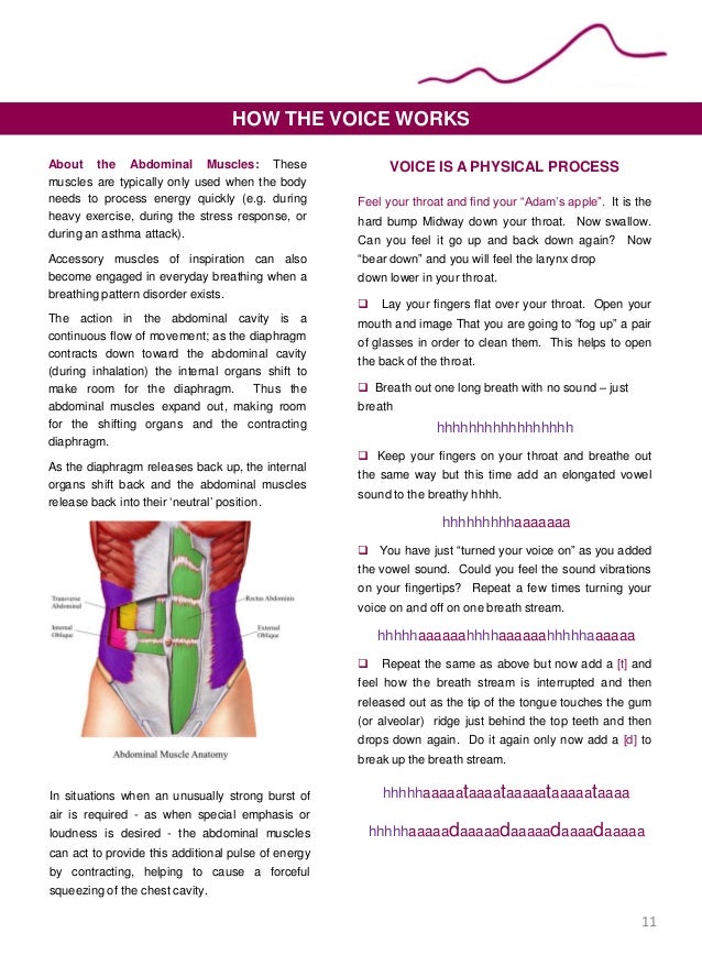 praise vocal training for a dynamic speaking voice workbook 1 how your voice works