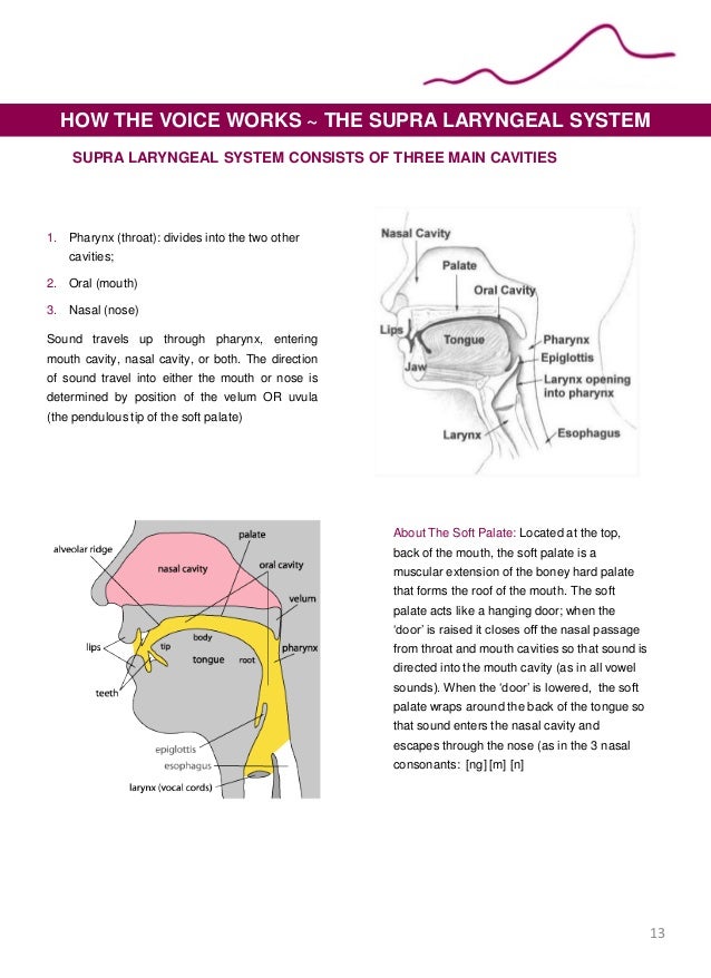 Praise vocal training for a dynamic speaking voice workbook 1