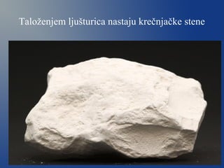 Taloženjem ljušturica nastaju krečnjačke stene
 