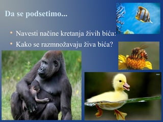 Da se podsetimo...

Navesti načine kretanja živih bića:

Kako se razmnožavaju živa bića?
 
