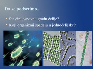 Da se podsetimo...

Šta čini osnovnu građu ćelije?

Koji organizmi spadaju u jednoćelijske?
 