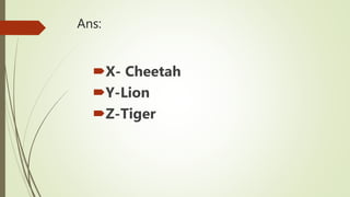 Ans:
X- Cheetah
Y-Lion
Z-Tiger
 