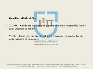 • Ganglion cells (brain!) –
• X Cells – X cells are concentrated at fovea where it is responsible for the
early detection of pattern.
• Y-cells – These cells are distributed in the retina and responsible for the
early detection of movement.
International Institute of Information Technology, I²IT, P-14, Rajiv Gandhi Infotech Park, Hinjawadi Phase 1, Pune - 411 057
Phone - +91 20 22933441/2/3 | Website - www.isquareit.edu.in | Email - info@isquareit.edu.in
 
