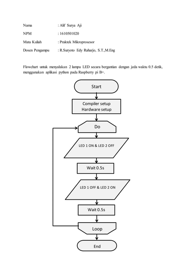 Raspi LED Blink | PDF