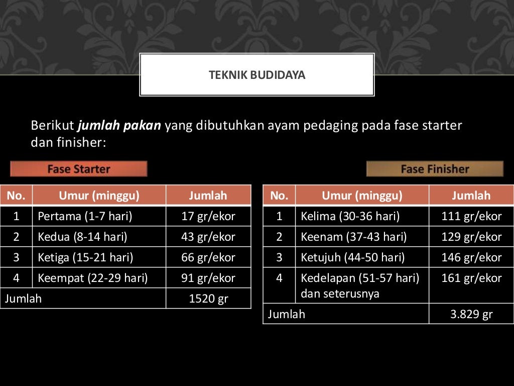 MATERI PRAKARYA KELAS XI SEMESTER 2 (genap) KURIKULUM 2013
