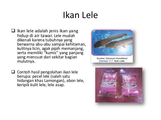 Pengolahan Ikan dan Daging [Prakarya 9 B] SMP Negeri 2 Brebes