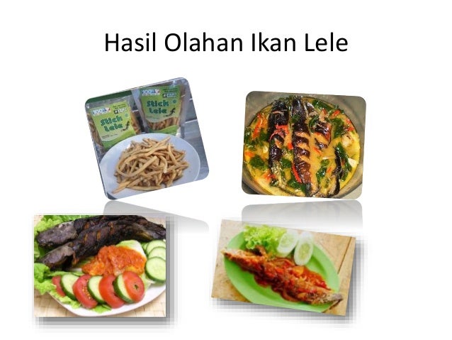 Pengolahan Ikan dan Daging [Prakarya 9 B] SMP Negeri 2 Brebes