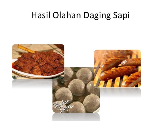 Bahan Pangan Setengah Jadi Dari Ikan