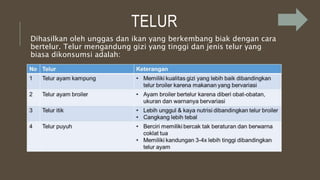 TELUR
Dihasilkan oleh unggas dan ikan yang berkembang biak dengan cara
bertelur. Telur mengandung gizi yang tinggi dan jenis telur yang
biasa dikonsumsi adalah:
 