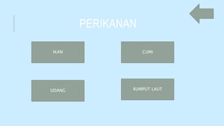 PERIKANAN
IKAN CUMI
RUMPUT LAUTUDANG
 