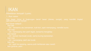 IKAN
Dibedakan menjadi 3,yaitu:
1. Ikan tawar
ikan tawar hidup di lingkungan berair tawar (danau, sungai), yang memiliki tingkat
salinitas/keasinan rendah
ikan tawar meliputi :
 ikan lele
ciri : berwarna abu kehitaman, kulit licin, pipih memanjang, memiliki kumis
 ikan mas
ciri : memanjang dan pipih tegak, berwarna mengkilap
 ikan bawal
ciri : bentuk membulat (oval), warna kuning kemerahan
 ikan mas
ciri : memanjang, pipih dan lunak
 ikan nila
ciri : pipih ke samping, warna putih kehitaman atau merah
 ikan gurame, patin
 