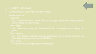 3. Ikan Perairan Laut
ikan laut hidup di laut dengan salinitas >30ppm.
ikan laut meliputi :
 ikan tuna
ciri : tertutup sisik kecil, warna birtu tua dan agak gelap pada bagian atasnya.
dikenal dengan ikan perenang
 ikan tenggiri
ciri : tubuh memanjang pipih, bersisik kecil dan tipis dengan warna belang biru
gelap
 ikan kembung
ciri : biru kehijauan di bagian atas dan putih kekuningan di bawah, sirip ekor dan
dada kekuningan, panjang rata-rata 20-25cm
 ikan kerapu
ciri : moncong, panjang memipih dan menajam
 