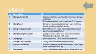 UDANG
 