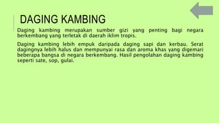 DAGING KAMBING
Daging kambing merupakan sumber gizi yang penting bagi negara
berkembang yang terletak di daerah iklim tropis.
Daging kambing lebih empuk daripada daging sapi dan kerbau. Serat
dagingnya lebih halus dan mempunyai rasa dan aroma khas yang digemari
beberapa bangsa di negara berkembang. Hasil pengolahan daging kambing
seperti sate, sop, gulai.
 