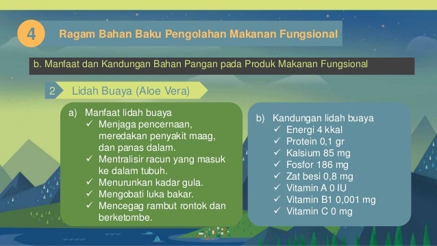 Perancangan Usaha Pengolahan Makanan Fungsional