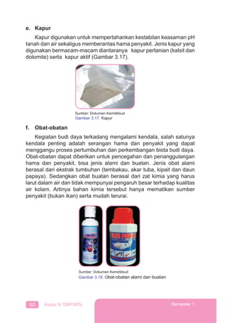 92 Kelas IX SMP/MTs Semester 1
e. Kapur
Kapur digunakan untuk mempertahankan kestabilan keasaman pH
tanah dan air sekaligus memberantas hama penyakit. Jenis kapur yang
digunakan bermacam-macam diantaranya kapur pertanian (kalsit dan
dolomite) serta kapur aktif (Gambar 3.17).
f. Obat-obatan
Kegiatan budi daya terkadang mengalami kendala, salah satunya
kendala penting adalah serangan hama dan penyakit yang dapat
menggangu proses pertumbuhan dan perkembangan biota budi daya.
Obat-obatan dapat diberikan untuk pencegahan dan penanggulangan
hama dan penyakit, bisa jenis alami dan buatan. Jenis obat alami
berasal dari ekstrak tumbuhan (tembakau, akar tuba, kipait dan daun
papaya). Sedangkan obat buatan berasal dari zat kimia yang harus
larut dalam air dan tidak mempunyai pengaruh besar terhadap kualitas
air kolam. Artinya bahan kimia tersebut hanya mematikan sumber
penyakit (bukan ikan) serta mudah terurai.
Sumber: Dokumen Kemdikbud
Gambar 3.17. Kapur
Sumber: Dokumen Kemdikbud
Gambar 3.18. Obat-obatan alami dan buatan
 